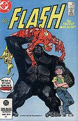 Flash 330