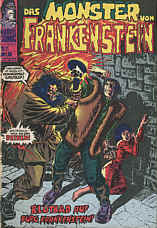 Monster von Frankenstein 11