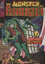 Monster von Frankenstein 16