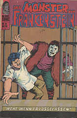 Monster von Frankenstein 28