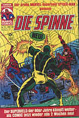 Spinne 13