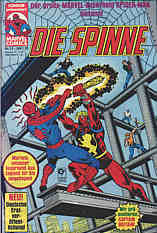 Spinne 31
