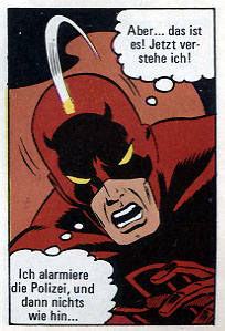 Spinne 13