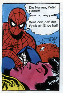 Spinne 2
