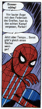 Spinne 12