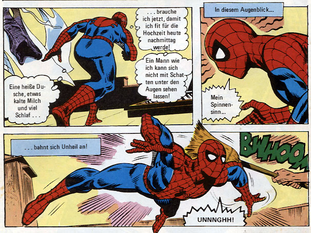 Die Spinne 2